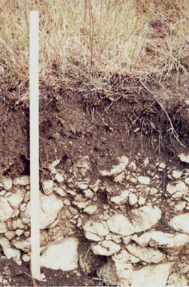 Prairie Soil Profile
