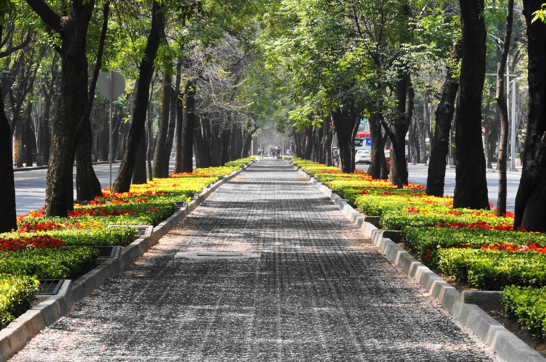 Landscaped walking path