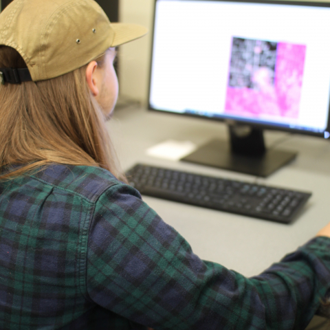 Student working on a computer